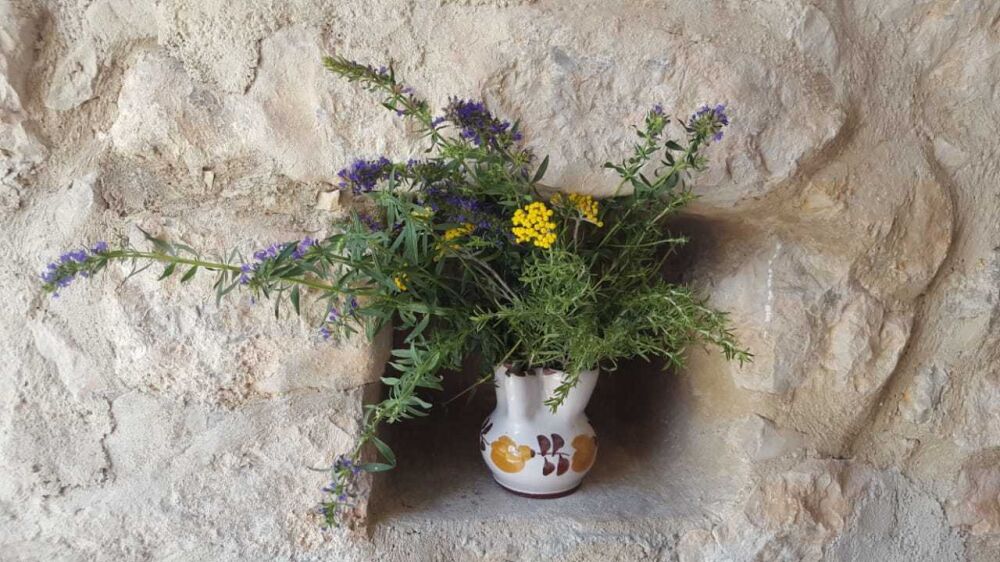 <p>Detail</p> <p>Detail</p>