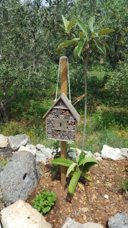 <p>Insektenhotel</p> <p>Insektenhotel</p>