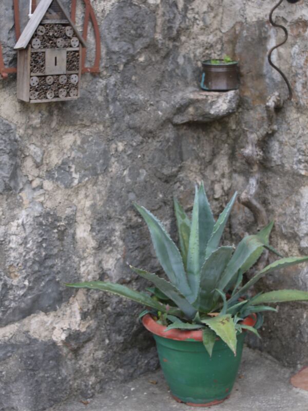 <p>Detail</p> <p>Detail</p>