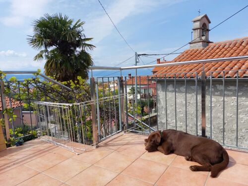 egal ob in den GÃ¤rten oder auf den Terrassen, die Hunde fÃ¼hlen sich wohl