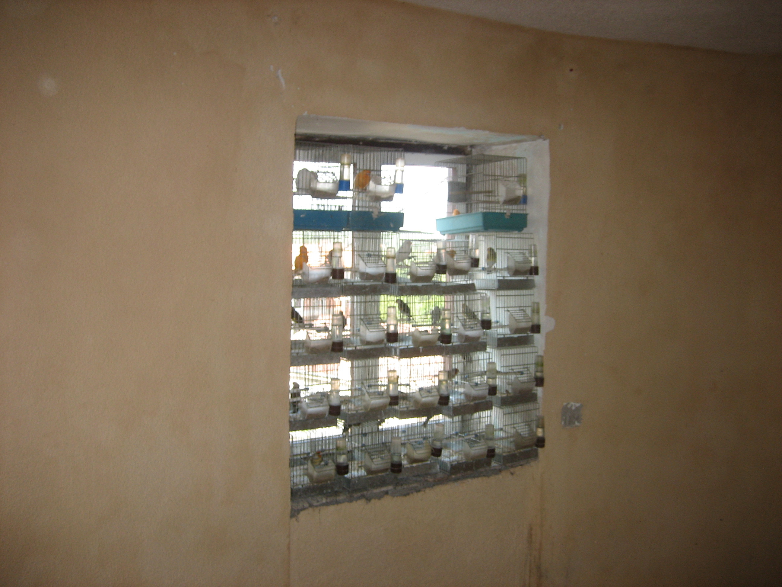 <p>Einige der Vögel des Vorbesitzers</p> <p>Einige der Vögel des Vorbesitzers</p>